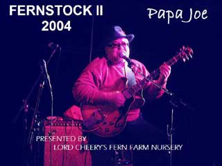 Papa Joe's Band